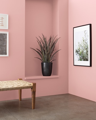 A wooden bench in front of a Brighton Rock Candy-painted wall with art and an inset shelf featuring a houseplant.