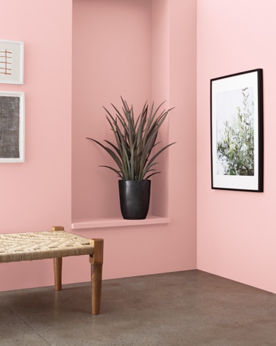 A wooden bench in front of a Fantasy Pink-painted wall with art and an inset shelf featuring a houseplant.
