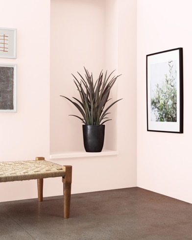 A wooden bench in front of a Frosted Petal-painted wall with art and an inset shelf featuring a houseplant.