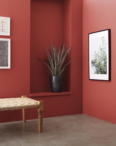 A wooden bench in front of a King�s Red-painted wall with art and an inset shelf featuring a houseplant.