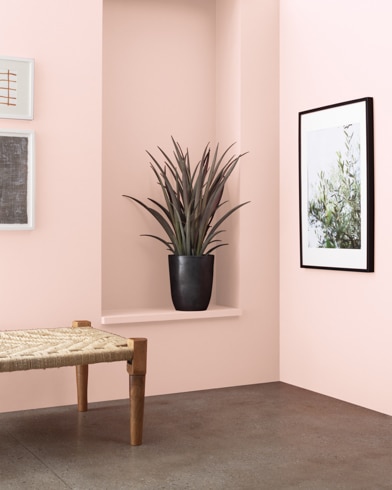 A wooden bench in front of a Peach Kiss-painted wall with art and an inset shelf featuring a houseplant.