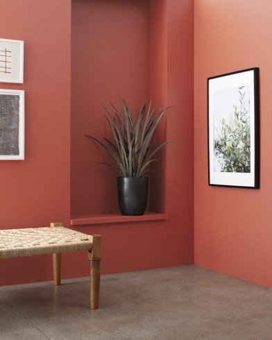 Un banco de madera delante de una pared pintada de color Mezcla Rosada con arte y un estante empotrado con una planta de interior.