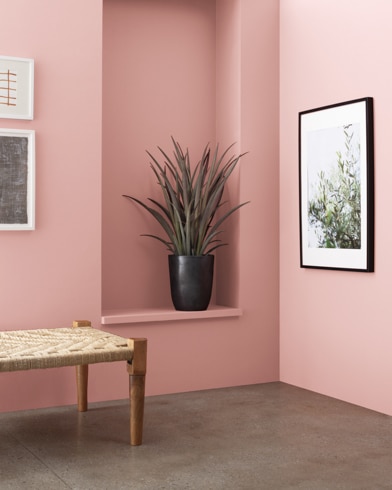 A wooden bench in front of a Salmon Berry-painted wall with art and an inset shelf featuring a houseplant.