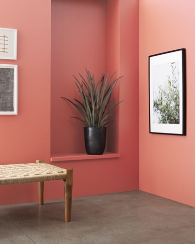 A wooden bench in front of a Tomato Cream Sauce-painted wall with art and an inset shelf featuring a houseplant.