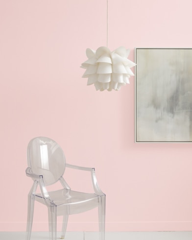 Benjamin Moore 2000-60 Light Chiffon Pink Precisely Matched For Paint and  Spray Paint