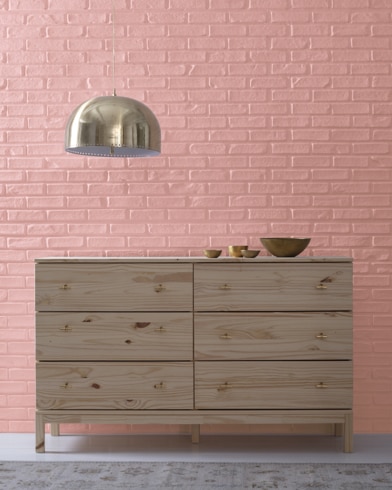 Painted wall with Rosy Tan 2091-50