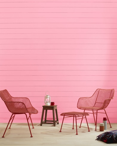 Painted wall with Blush Tone 2000-50