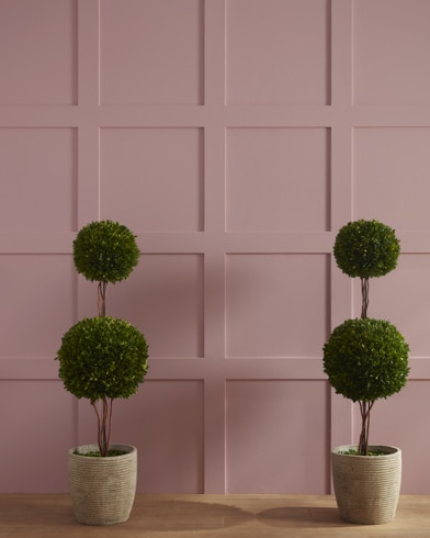 Painted wall with Barberry 1244