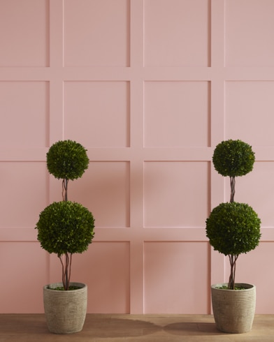 Painted wall with Rose Bisque 2102-50