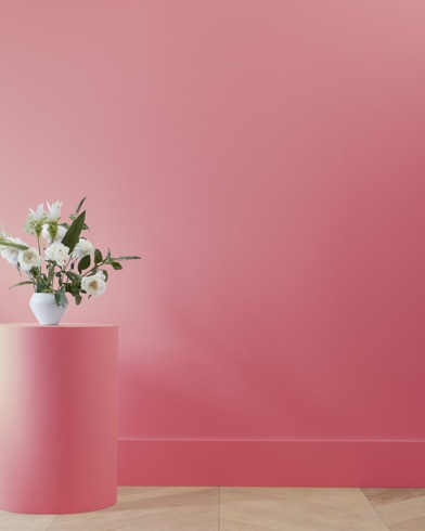 Painted wall with Vibrant Blush 2081-30