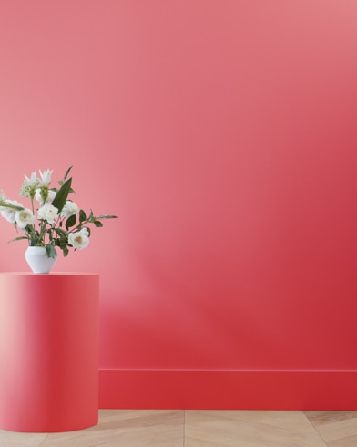 Painted wall with Watermelon Red 2087-20