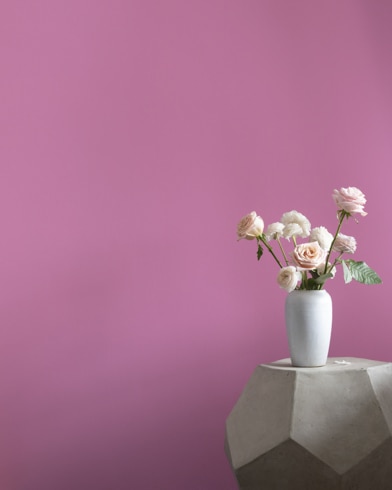 Painted wall with Melrose Pink 1363