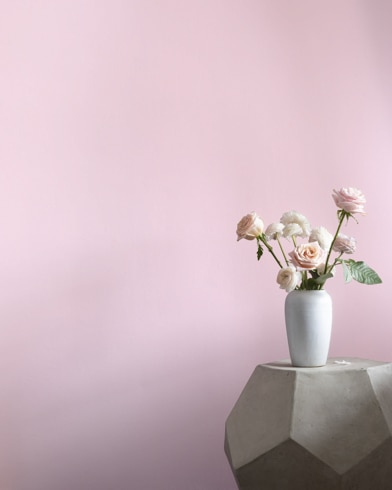Painted wall with Misty Rose 1360