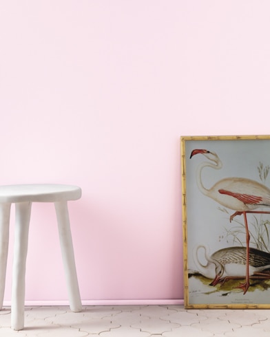 Painted wall with Pink Peony 2078-70