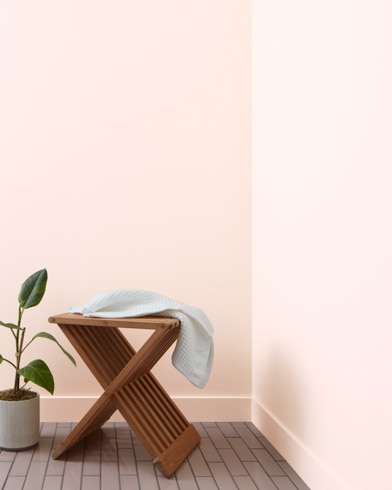 Painted wall with Shell Pink 883