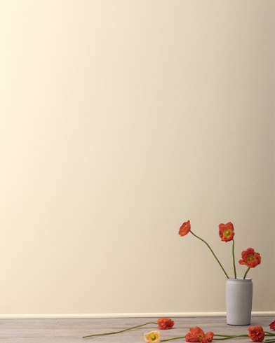 Light Beige - Simply Colour: Online Paint Store – Painting, just easier.