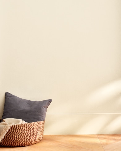 Painted wall with Sparkling Wine OC-88