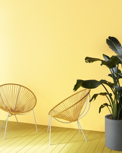 Two decorative semi-circle sitting chairs and a dark green plant sit in front of a Lemon Grass-painted wall.