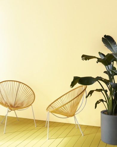 Two decorative semi-circle sitting chairs and a dark green plant sit in front of a Old Straw Hat-painted wall.