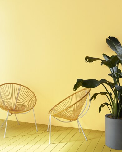 Two decorative semi-circle sitting chairs and a dark green plant sit in front of a Sunshine on the Bay-painted wall.