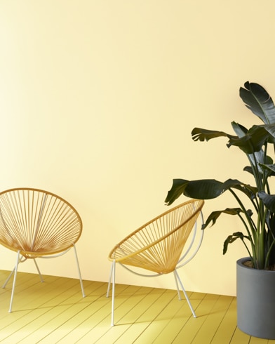 Two decorative semi-circle sitting chairs and a dark green plant sit in front of a Winter Sunshine-painted wall.