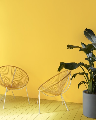 Two decorative semi-circle sitting chairs and a dark green plant sit in front of a Yellow Brick Road-painted wall.