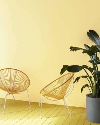 Two decorative semi-circle sitting chairs and a dark green plant sit in front of a Yellow Lilies-painted wall.