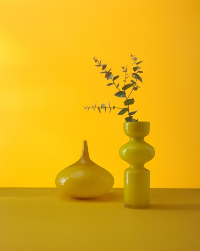 Two abstract ceramic potters, one with a plant, sit in front of a wall painted Sunflower.