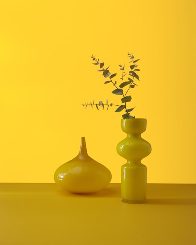 Two abstract ceramic potters, one with a plant, sit in front of a wall painted Viking Yellow.