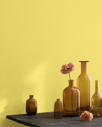 A collection of brown-tinted glass vases sit atop a wooden shop table next to a wall painted Yellow Finch.