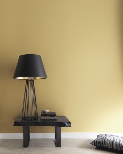 Painted wall with Honey Oak 257