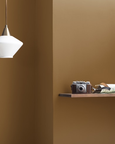 Painted walls with Autumn Bronze 2162-10