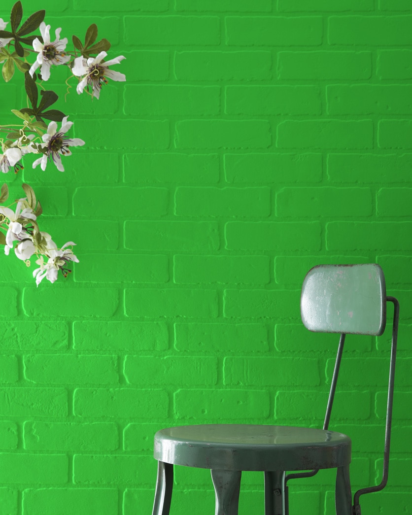Lime Green Color – What Colors Go With Lime Green?