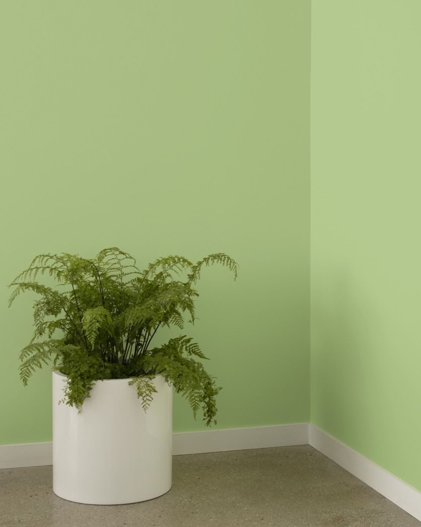 543 Woodland Hills Green a Paint Color by Benjamin Moore
