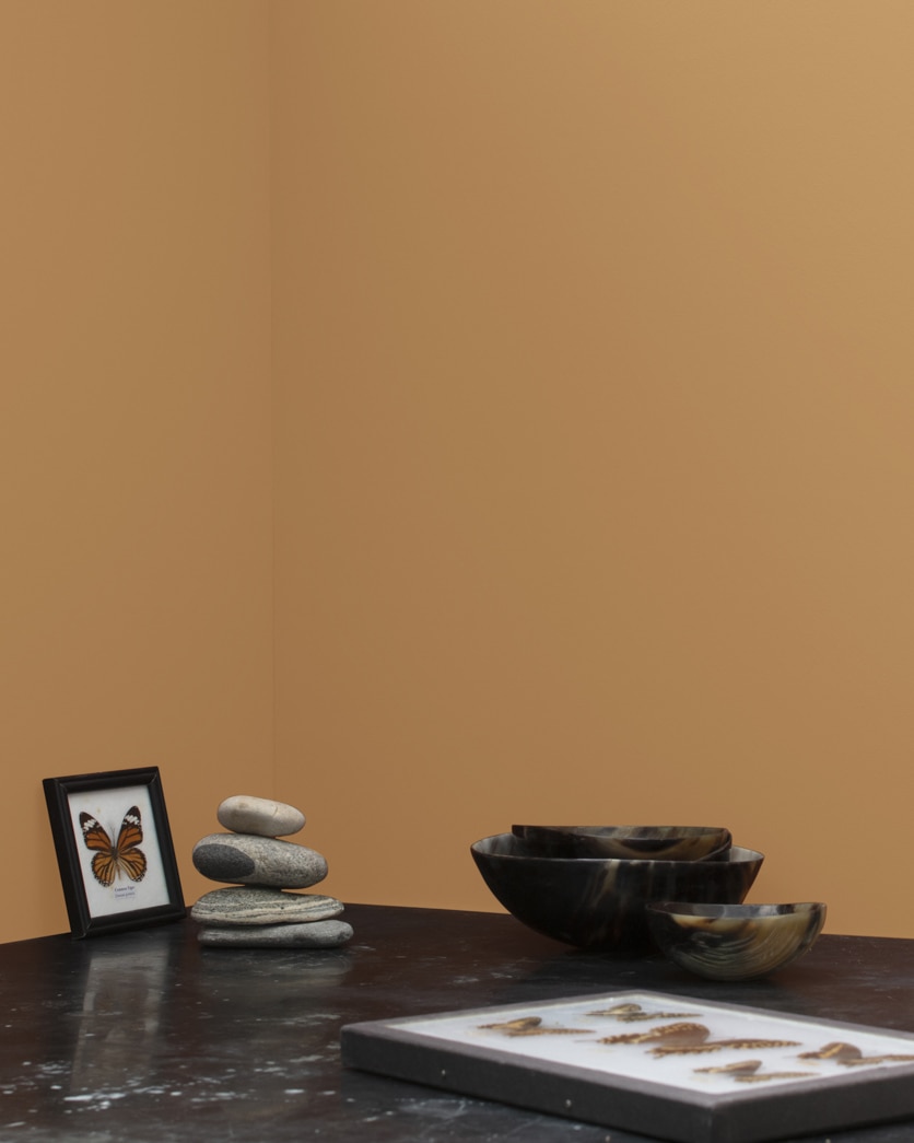 1106 Gladstone Tan