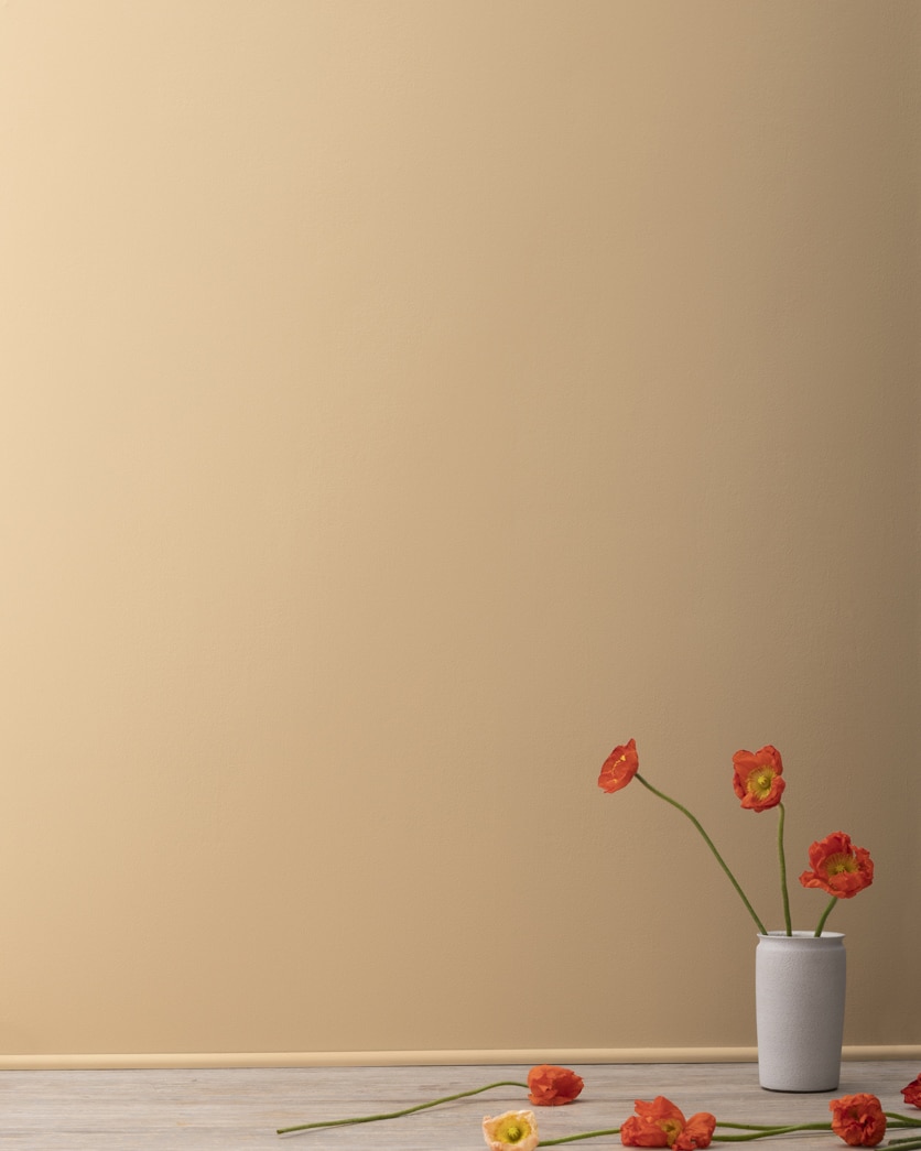 Sisal Mat (7890) House Wall Painting Colour