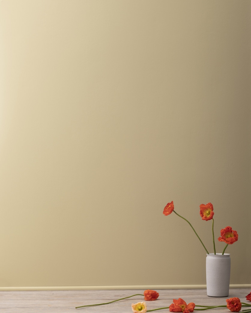 HC-23 Yorkshire Tan