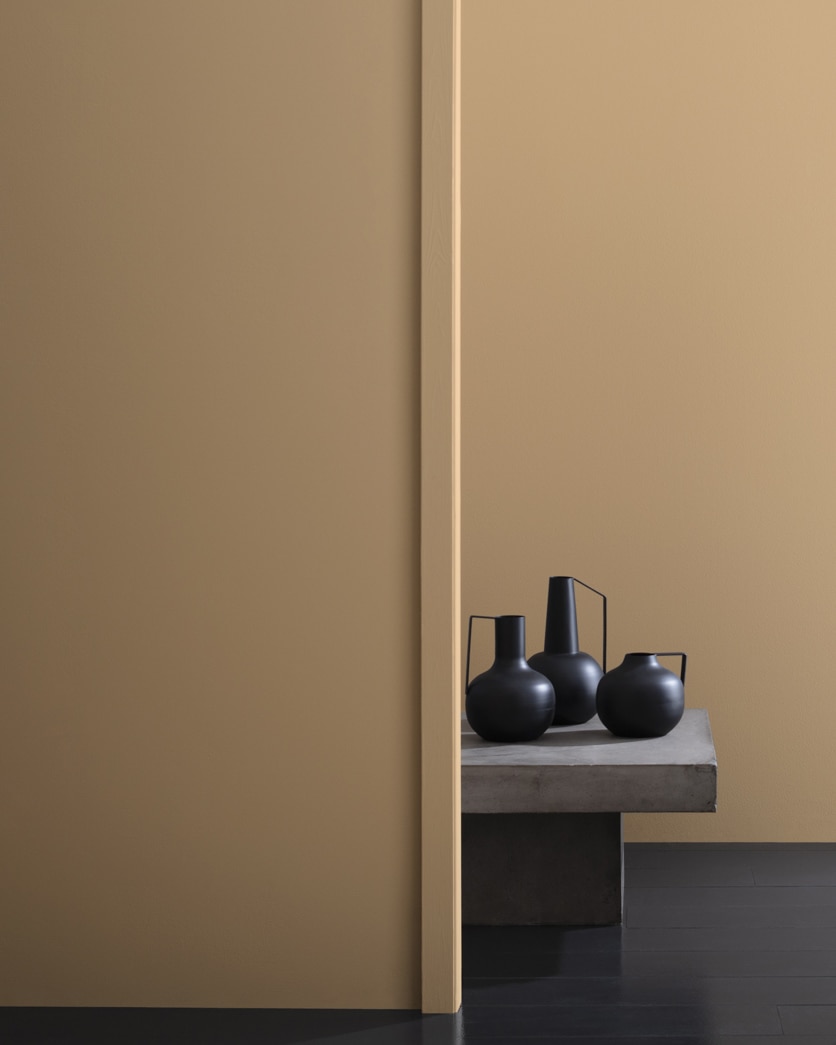 CSP-285 Camel Hair