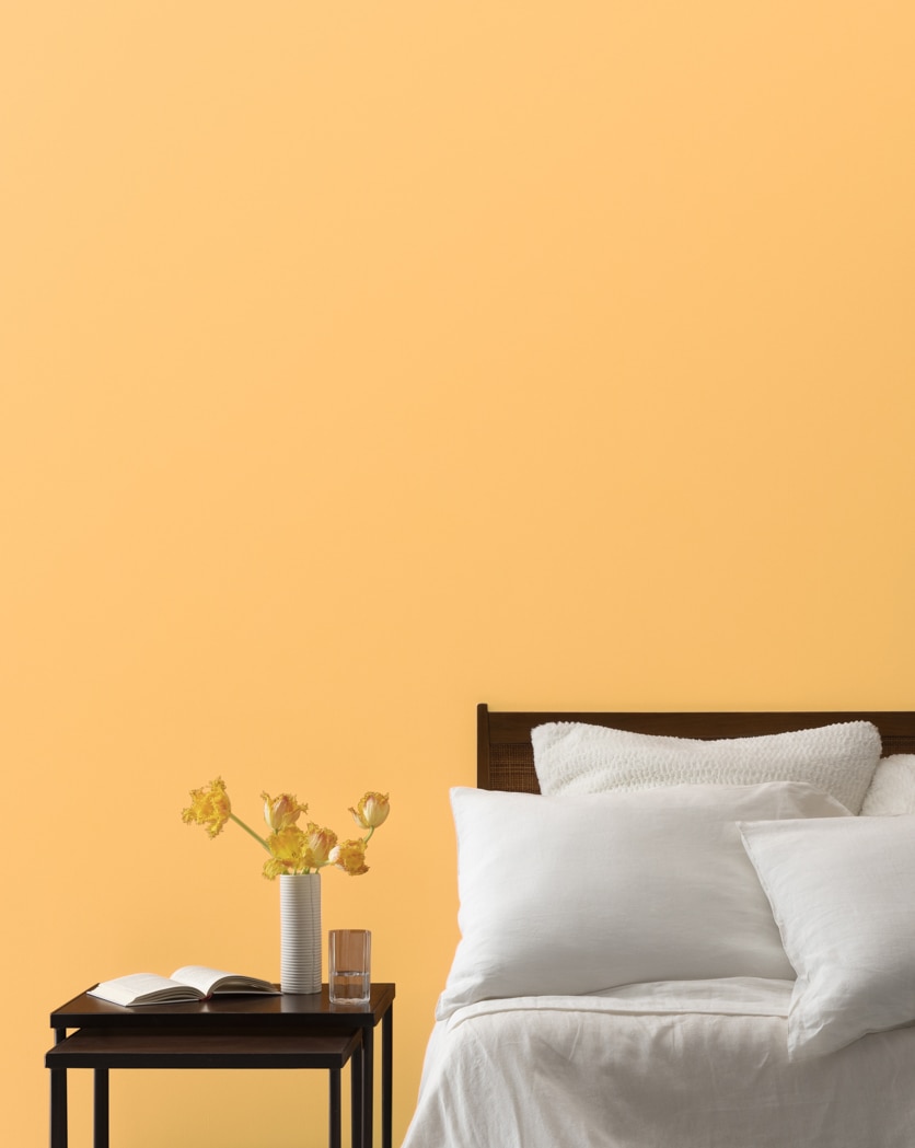 Orange Peach Colour Scheme – Colour Palette 153  Color schemes colour  palettes, Peach color schemes, Coral colour palette
