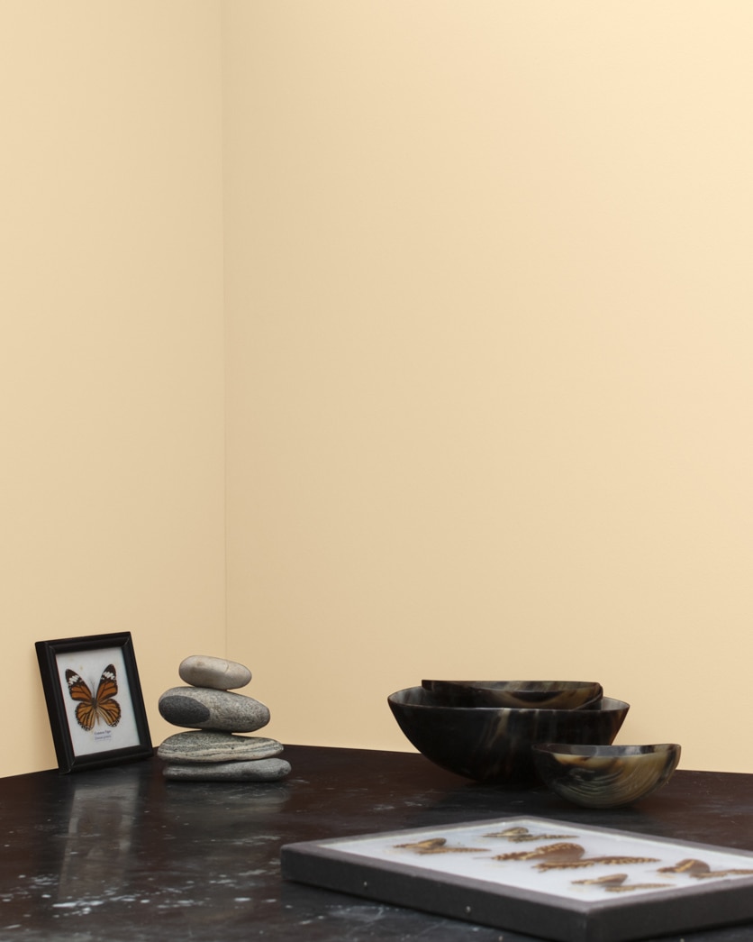 Self-priming paint - BENJAMIN MOORE NATURA® - Benjamin Moore