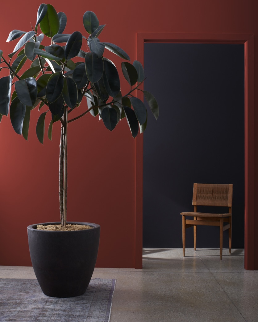 HC-184 Cottage Red