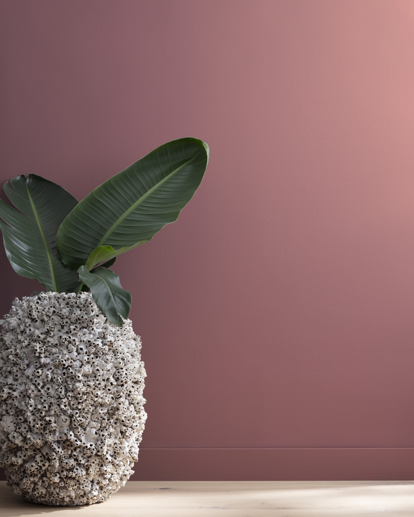 Love Affair 1266 | Benjamin Moore