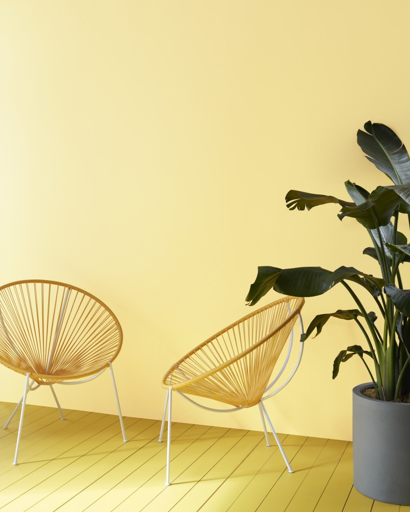 346 Yellow Lilies