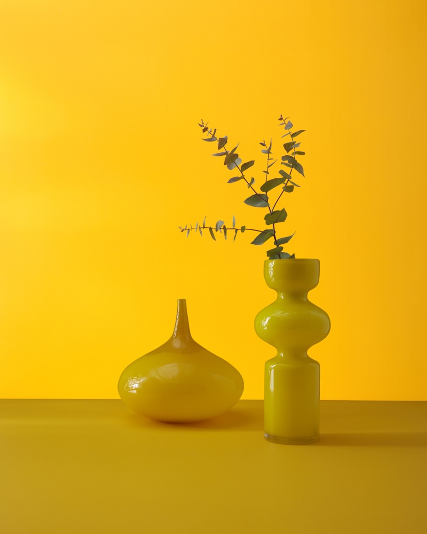 2019-30 Sunflower
