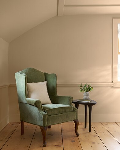Painted walls with Sherwood Tan 1054