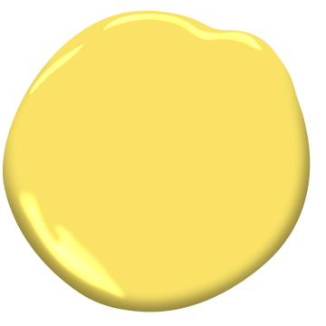 Delightful Yellow
